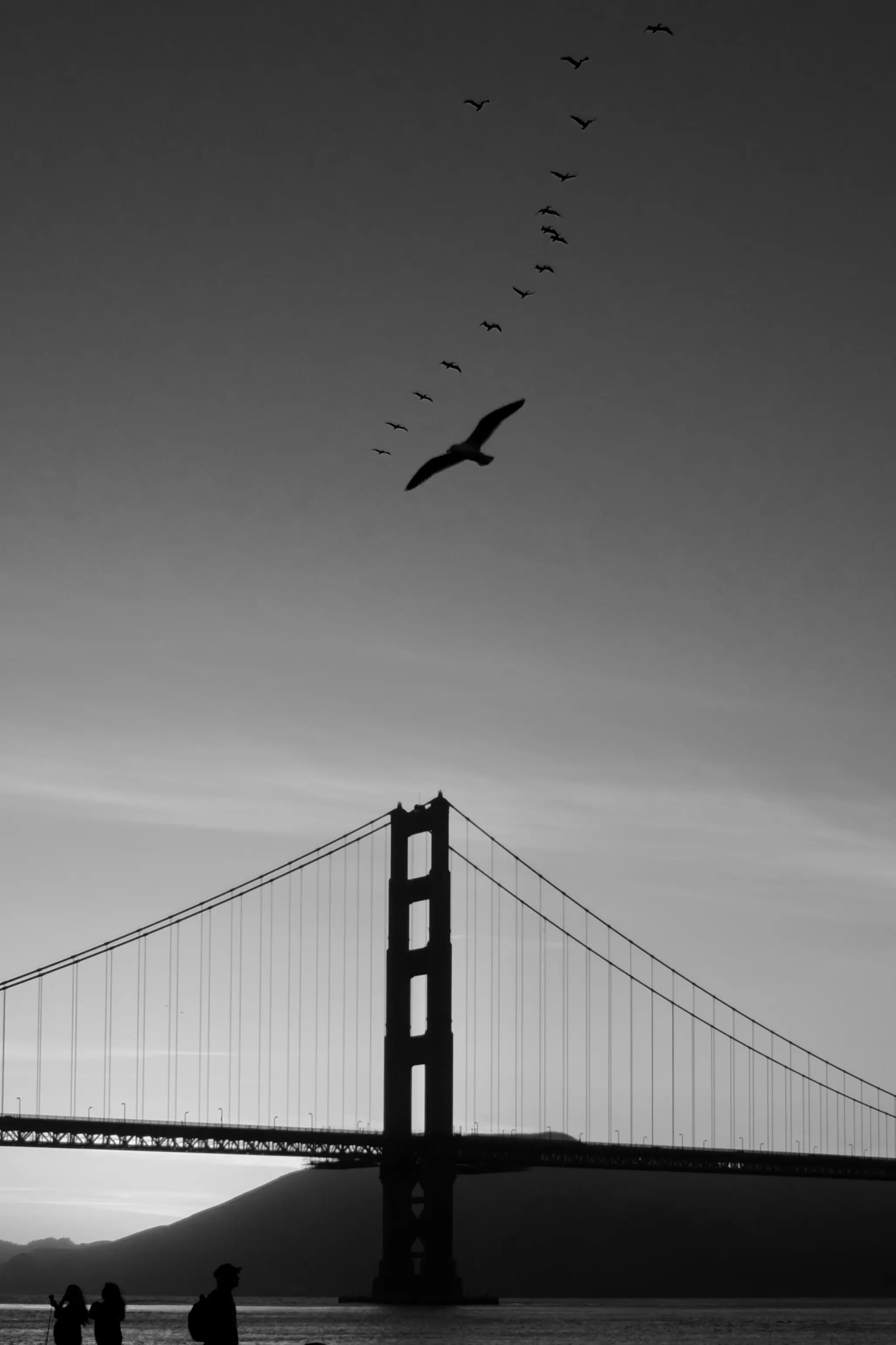 Photo from san francisco